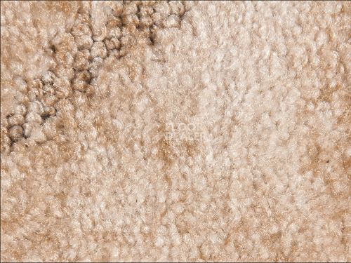 Ковролин Associated Weavers Tango 30 фото 1 | FLOORDEALER